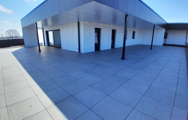 Appartement te huur in Maaseik