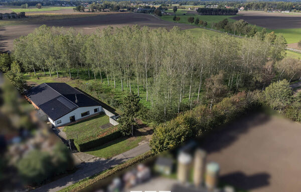 Huis te koop in Kinrooi
