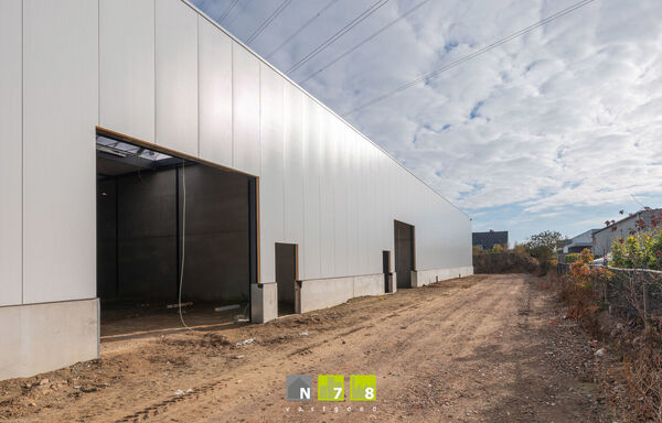 Industrieel gebouw te huur in Maaseik