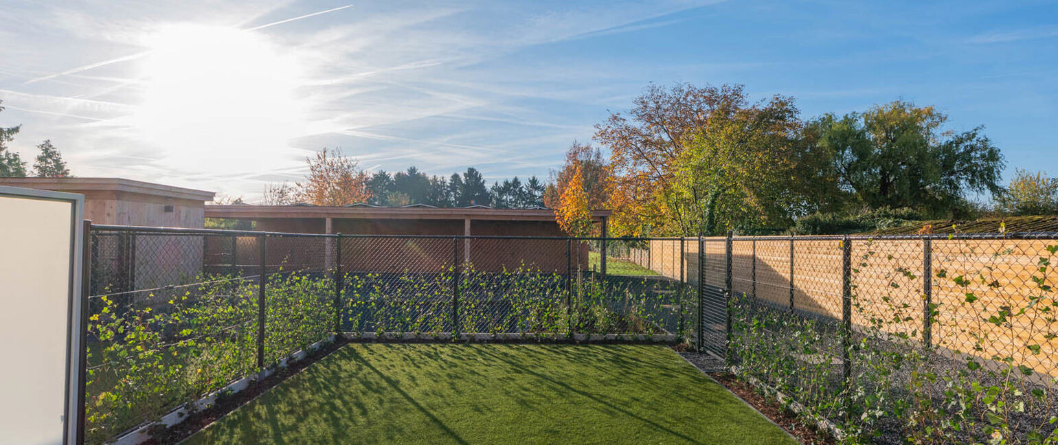 Appartement te huur in Dilsen-Stokkem