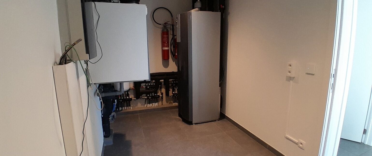 Appartement te huur in Maaseik