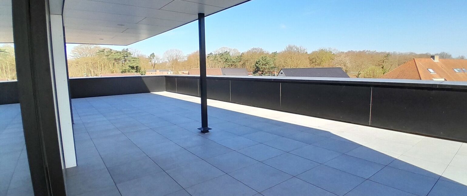 Appartement te huur in Maaseik
