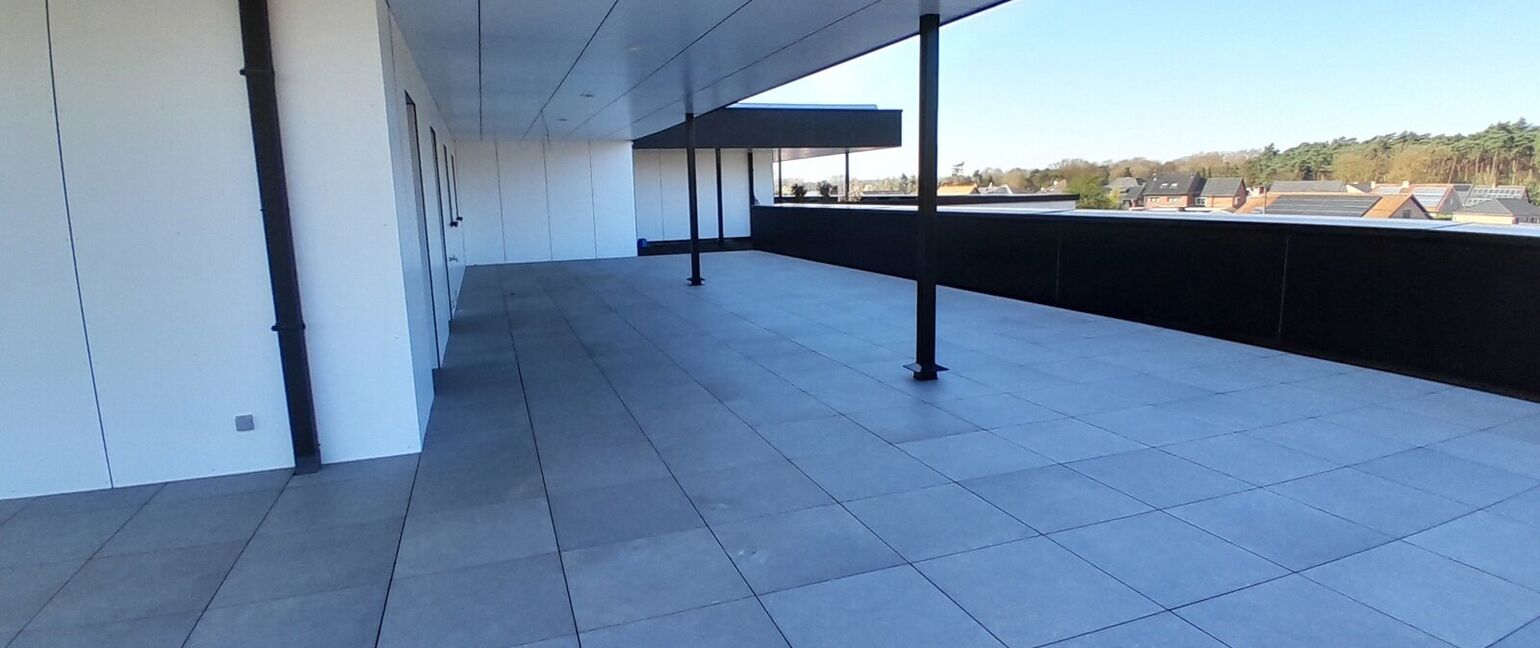 Appartement te huur in Maaseik