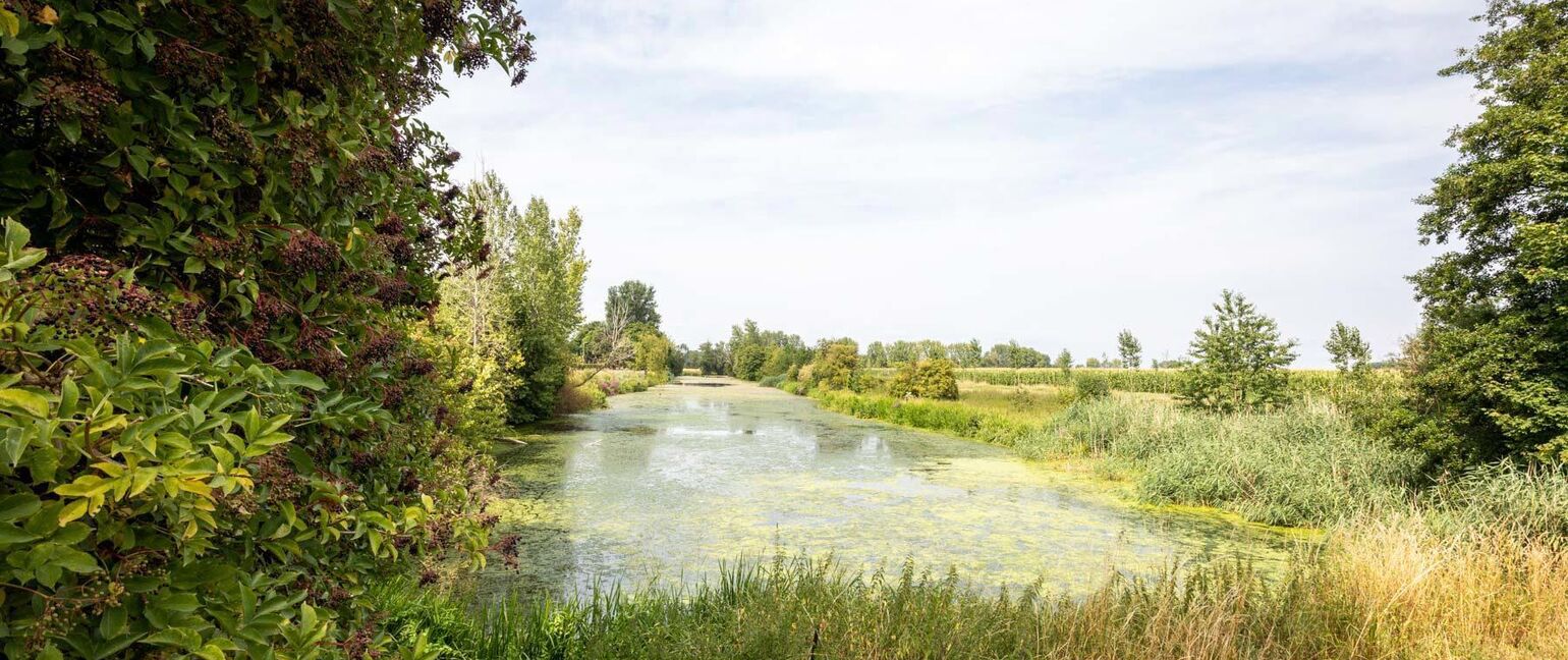 Appartement te koop in Dilsen-Stokkem