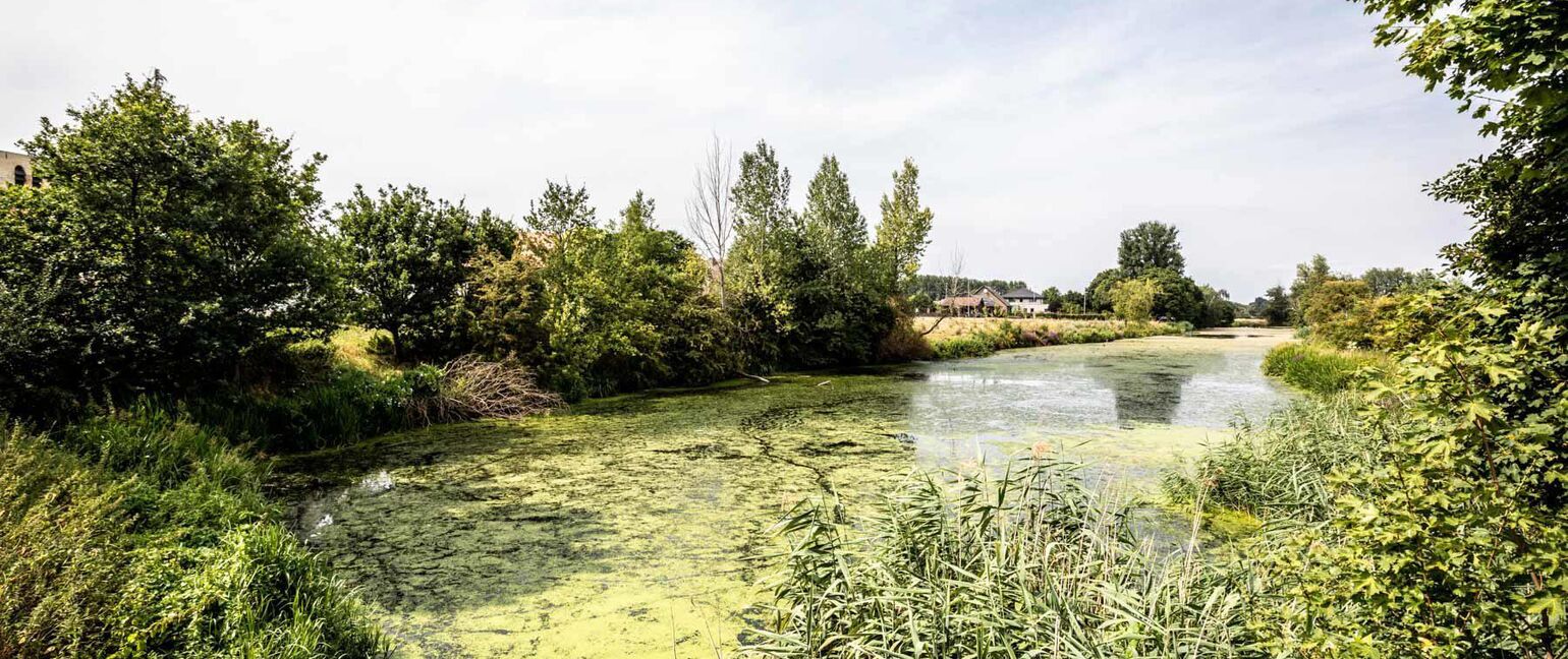 Appartement te koop in Dilsen-Stokkem