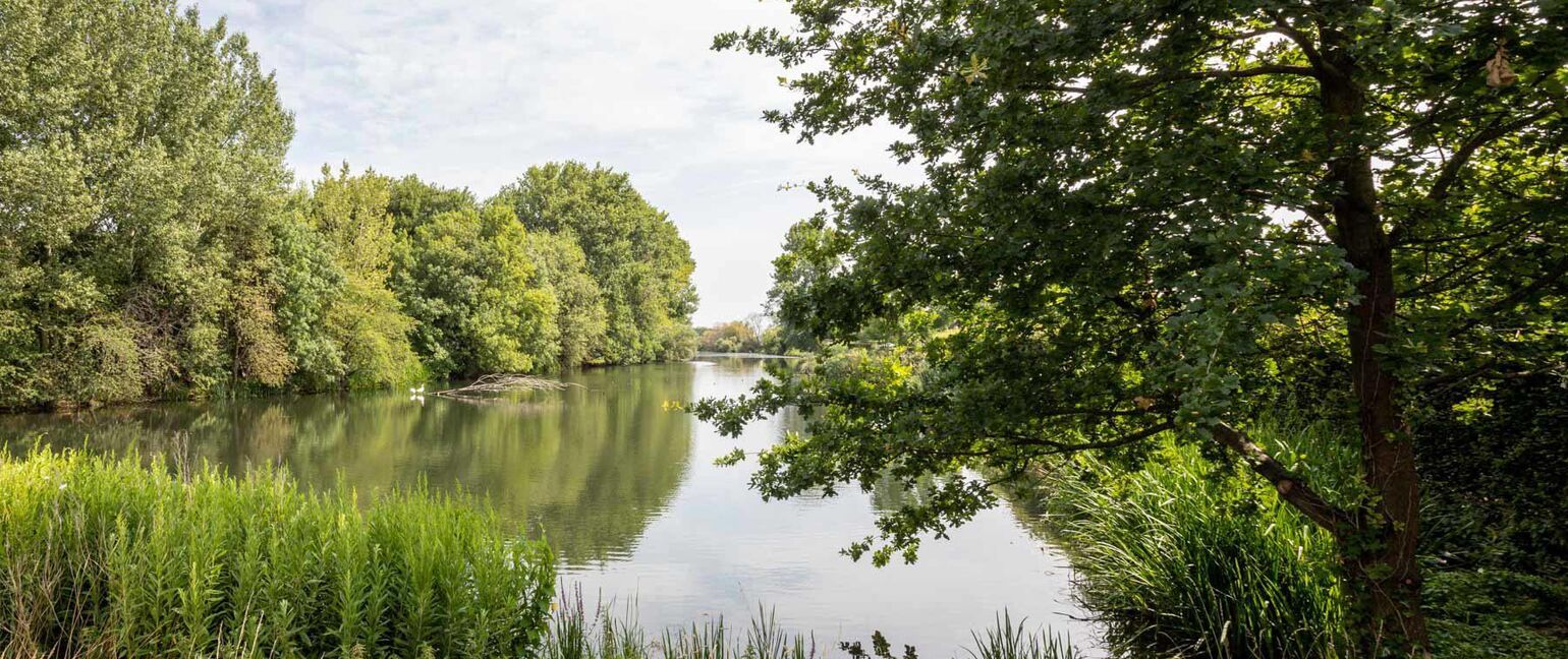 Appartement te koop in Dilsen-Stokkem