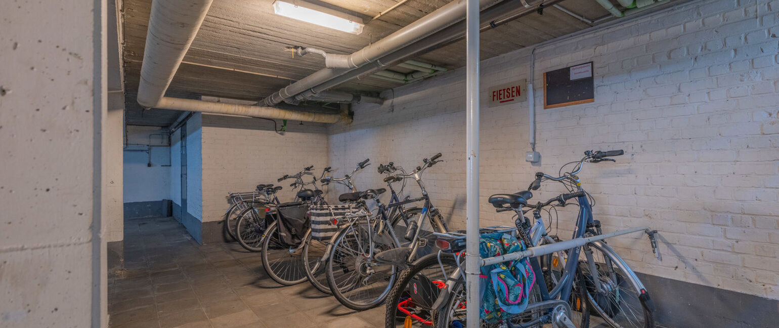 Appartement te koop in Maaseik