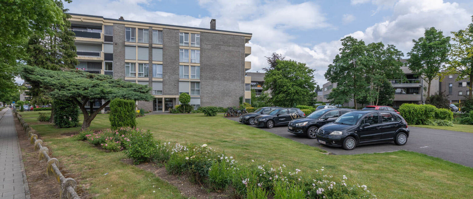 Appartement te koop in Maaseik
