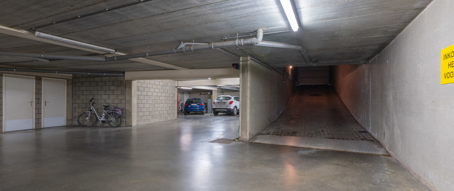 Appartement te koop in Maaseik