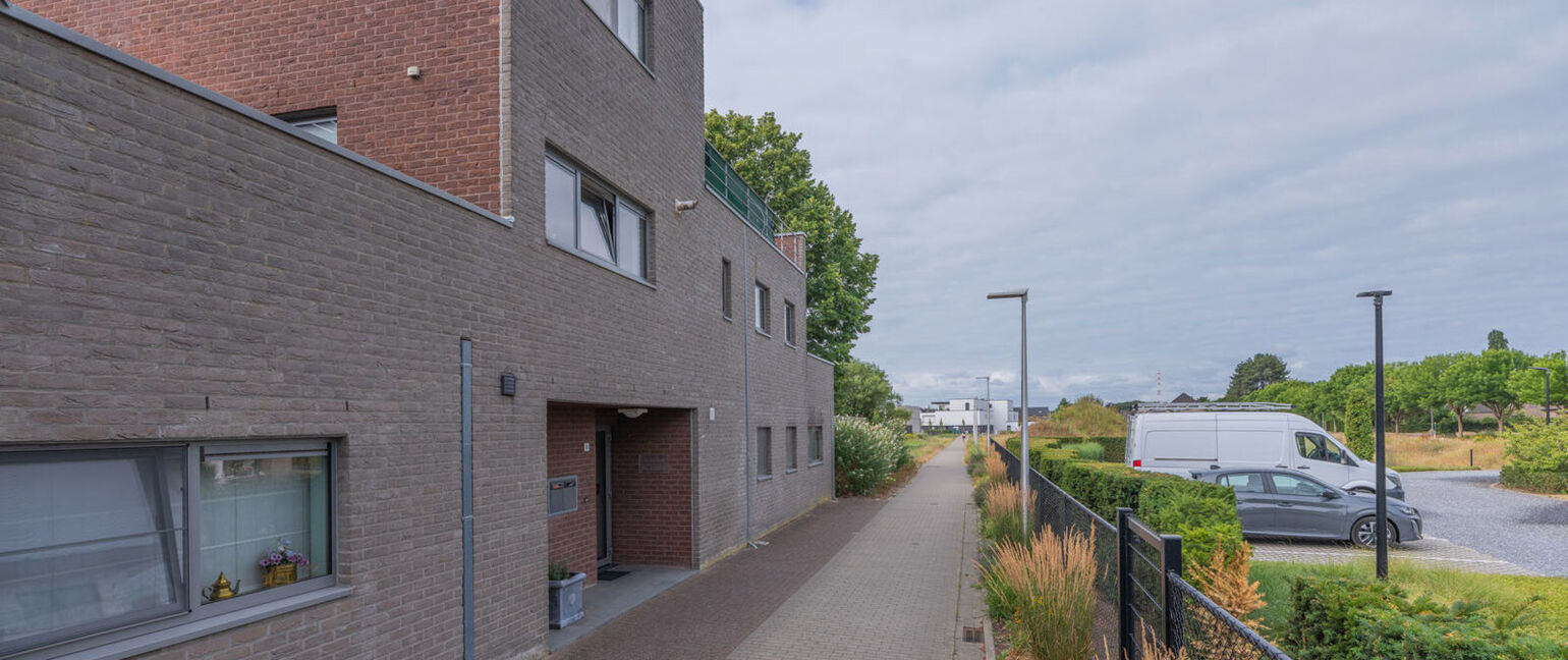 Appartement te koop in Maaseik