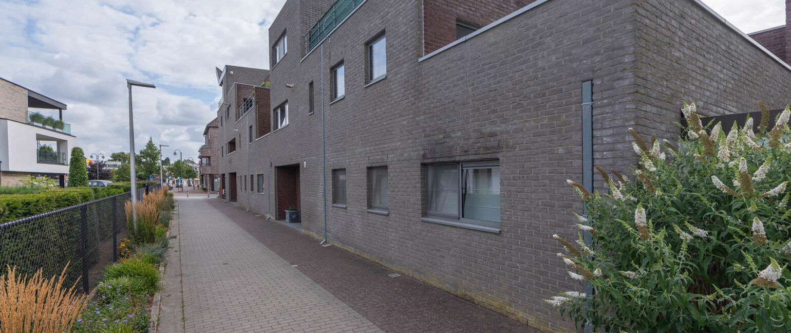Appartement te koop in Maaseik