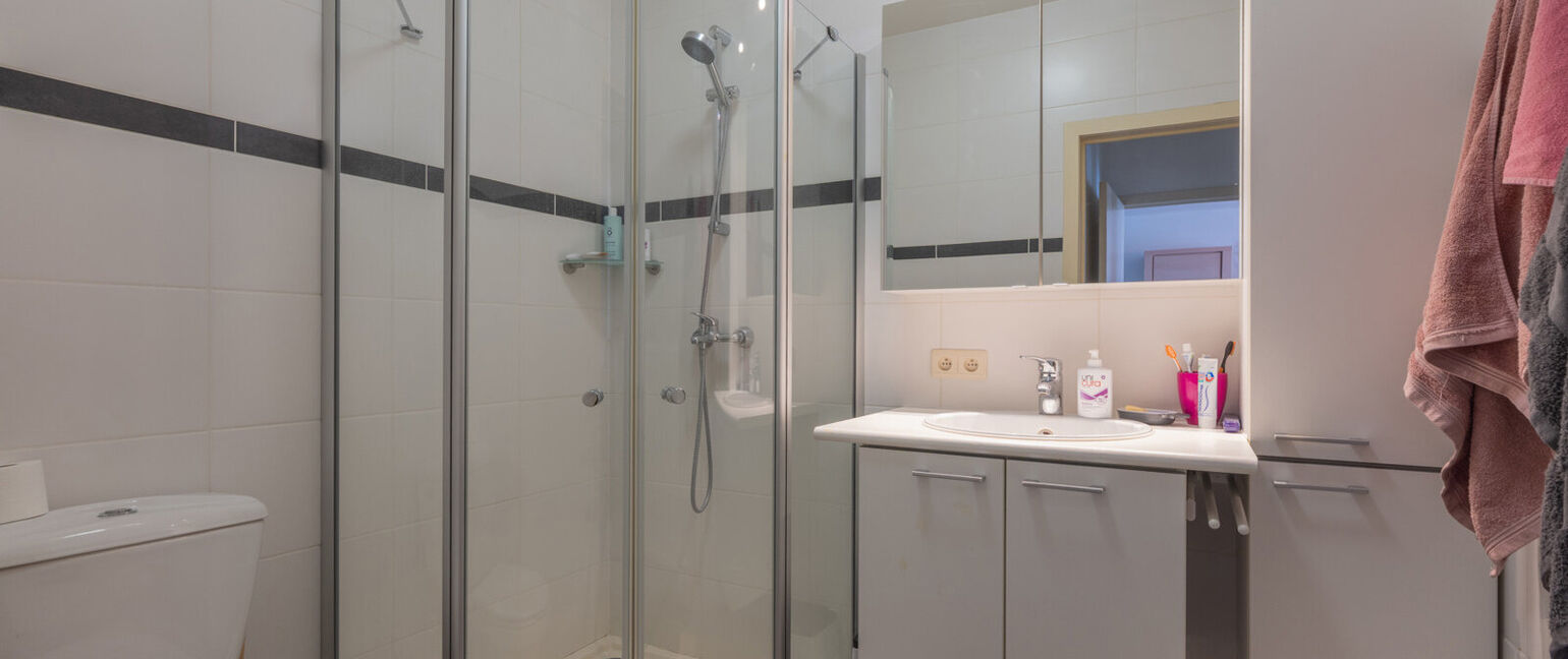 Appartement te koop in Maaseik