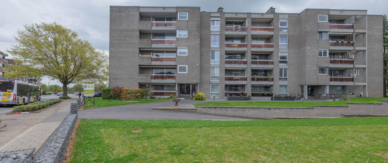 Appartement te koop in Maaseik
