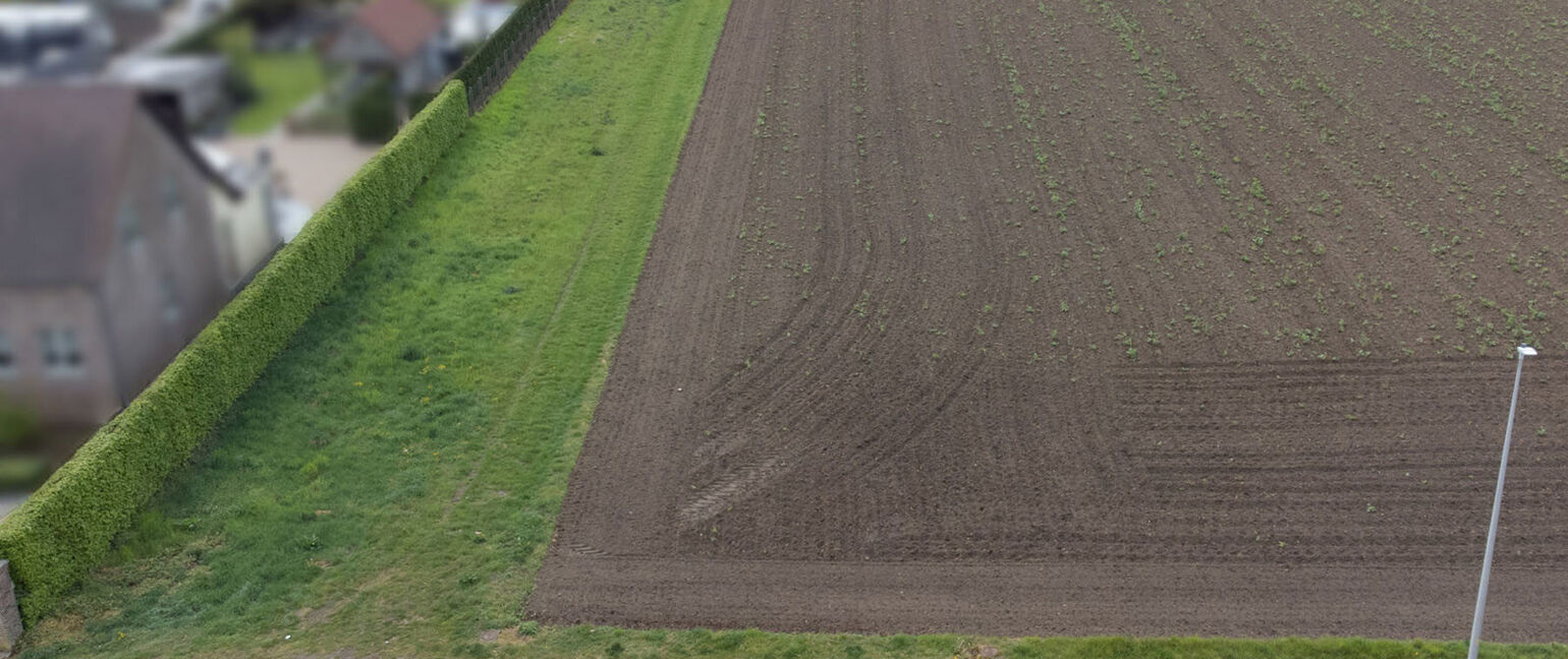 Bouwgrond te koop in Kinrooi