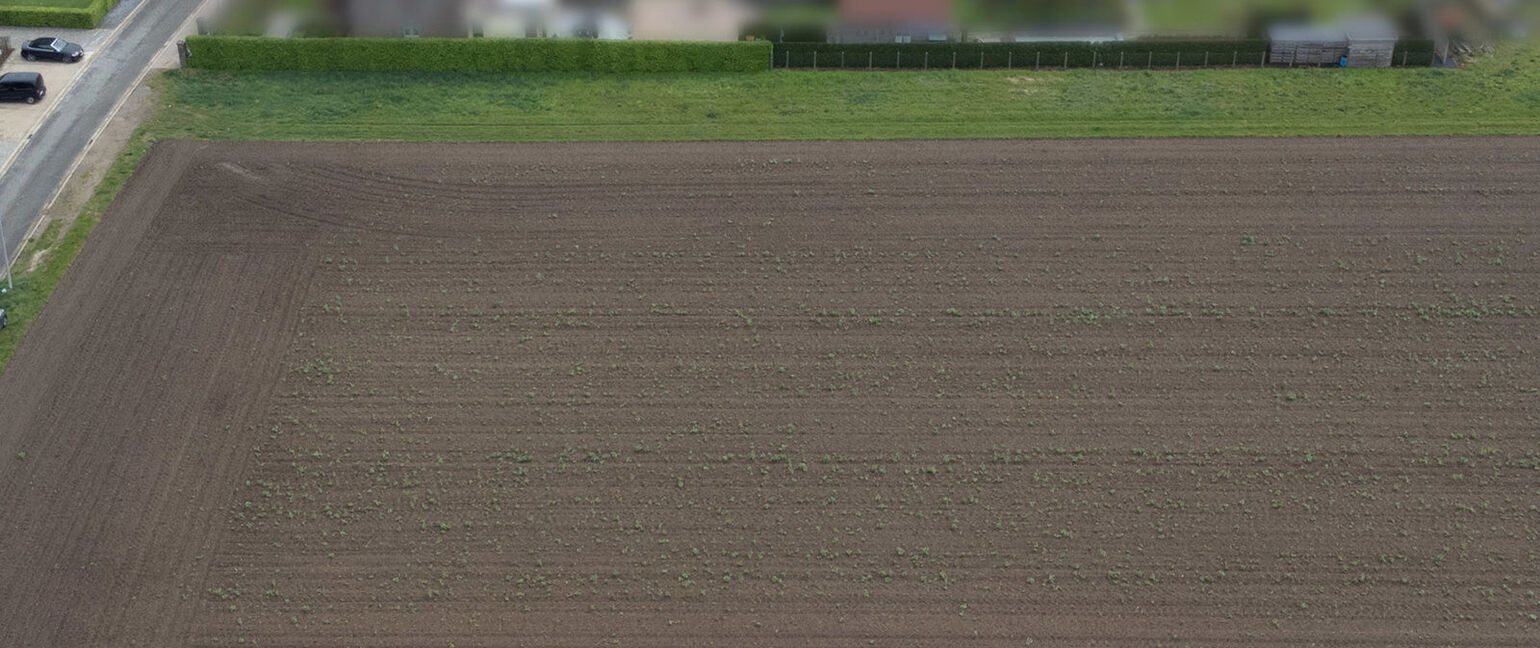 Bouwgrond te koop in Kinrooi