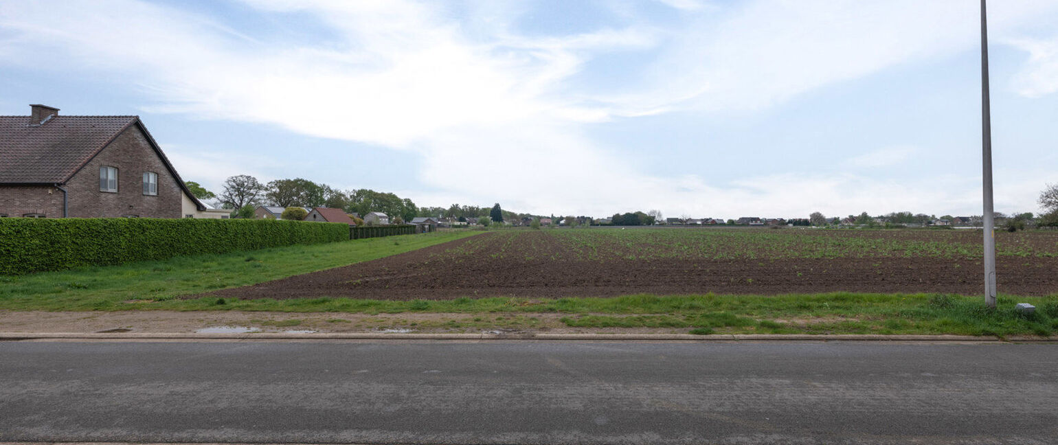 Bouwgrond te koop in Kinrooi