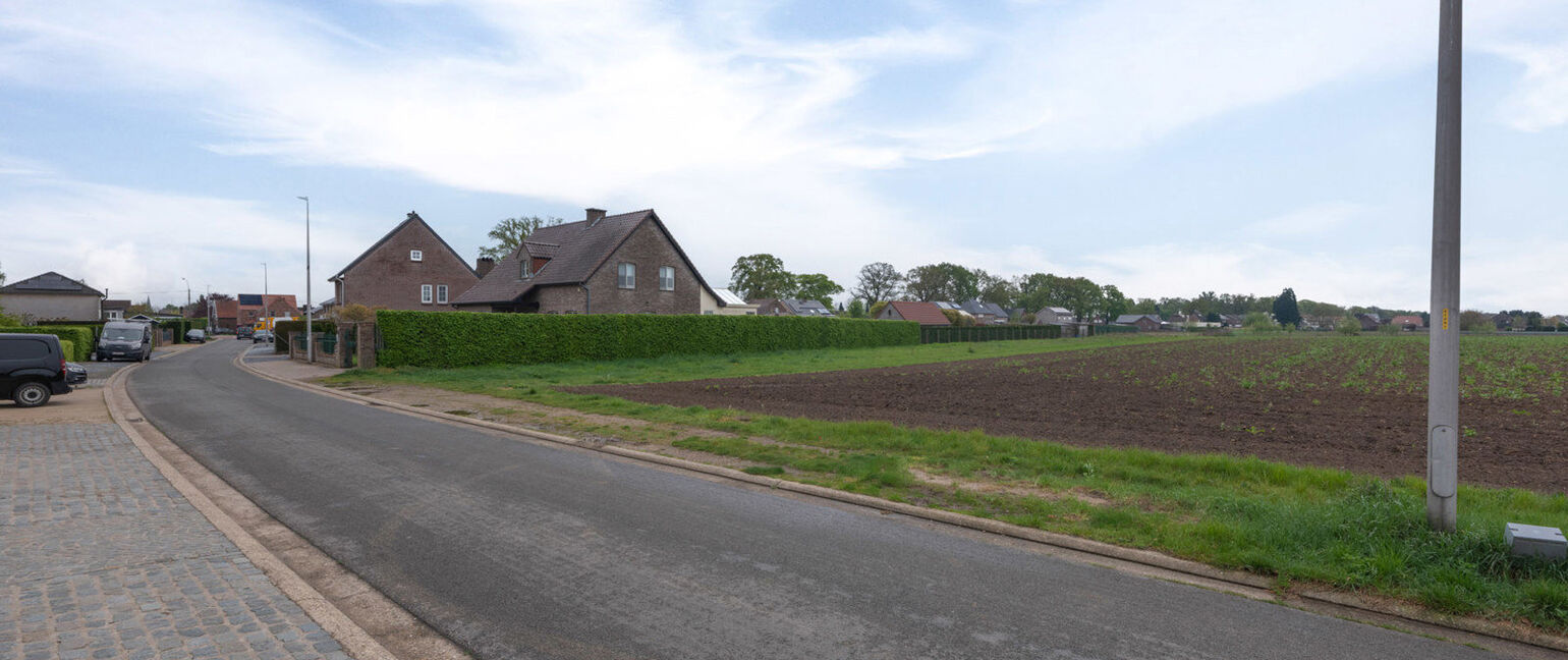 Bouwgrond te koop in Kinrooi