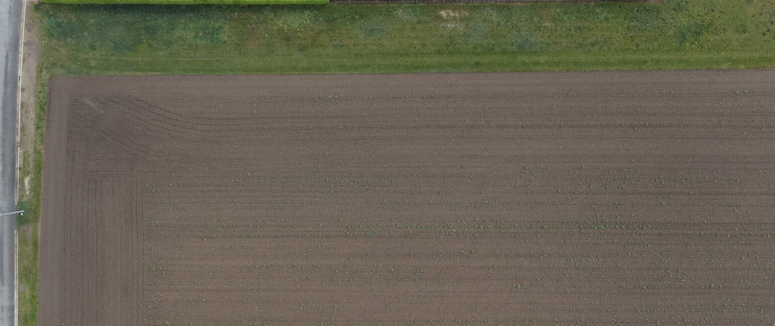 Bouwgrond te koop in Kinrooi