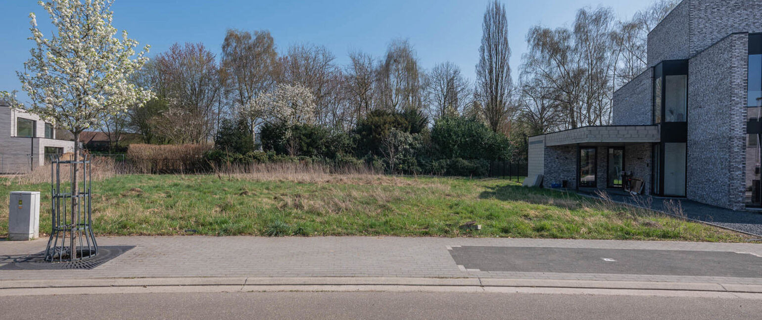 Bouwgrond te koop in Maaseik