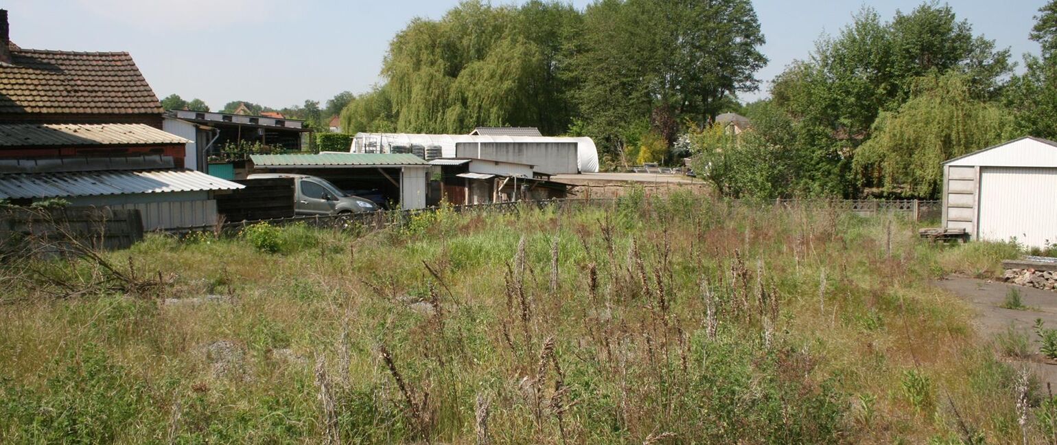 Bouwgrond te koop in Maaseik