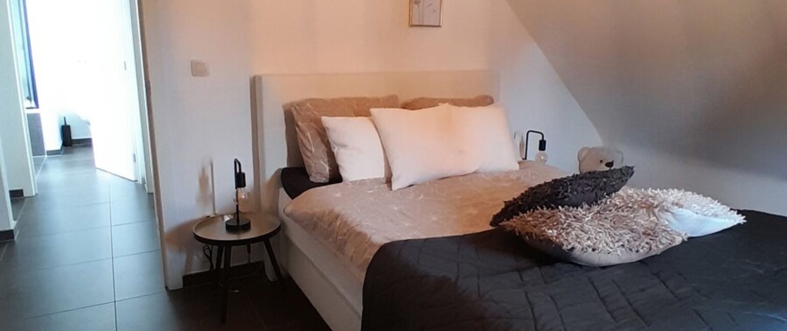 Duplex te huur in Maaseik