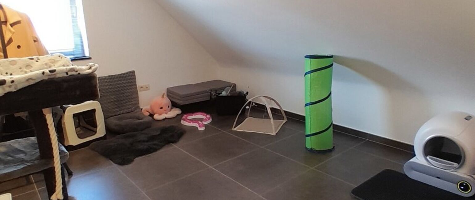 Duplex te huur in Maaseik