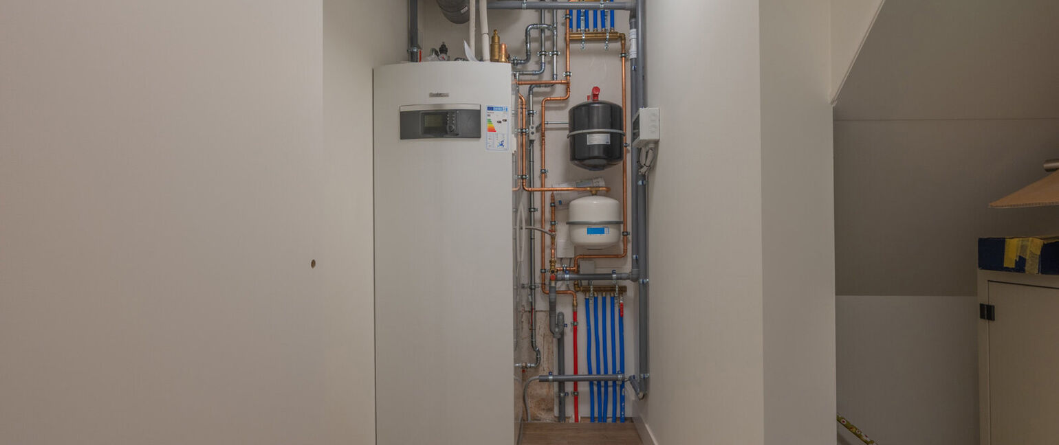 Duplex te huur in Maaseik