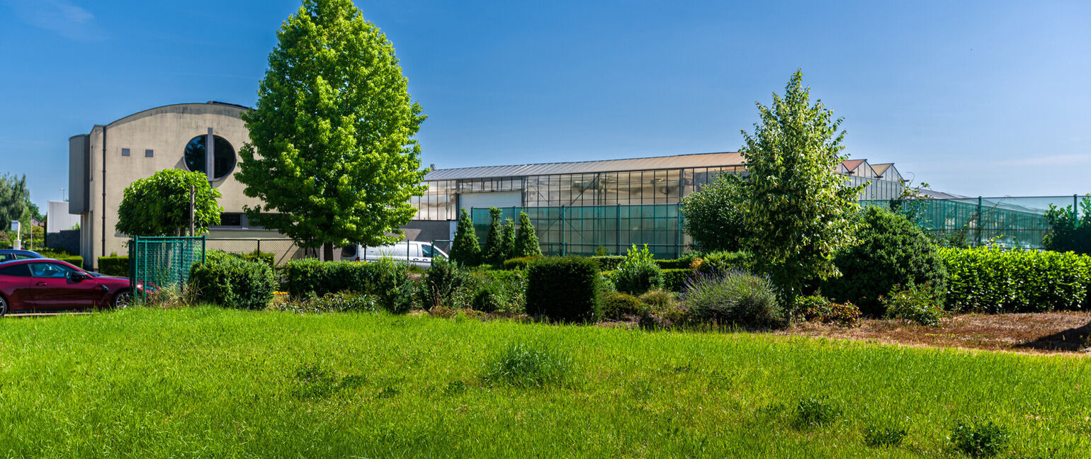 Gebouw voor gemengd gebruik te koop in Halen