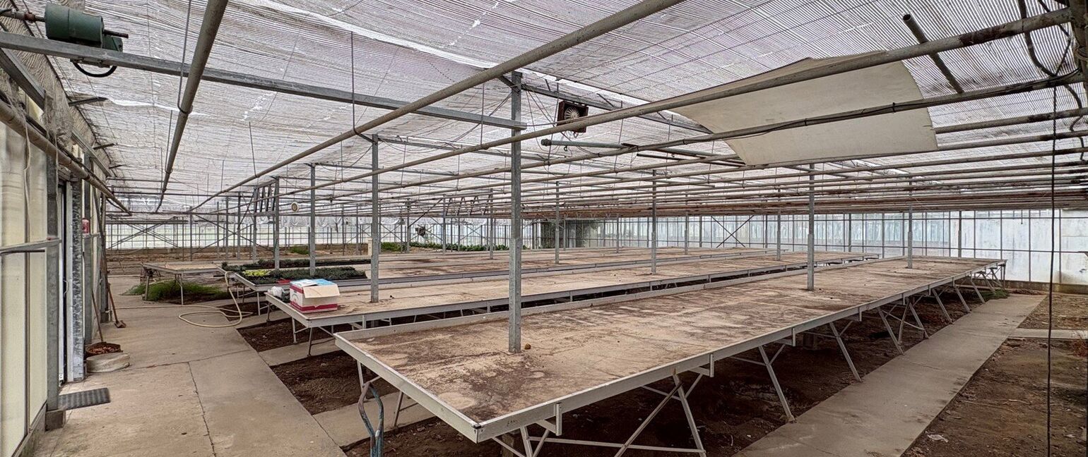 Gebouw voor gemengd gebruik te koop in Halen