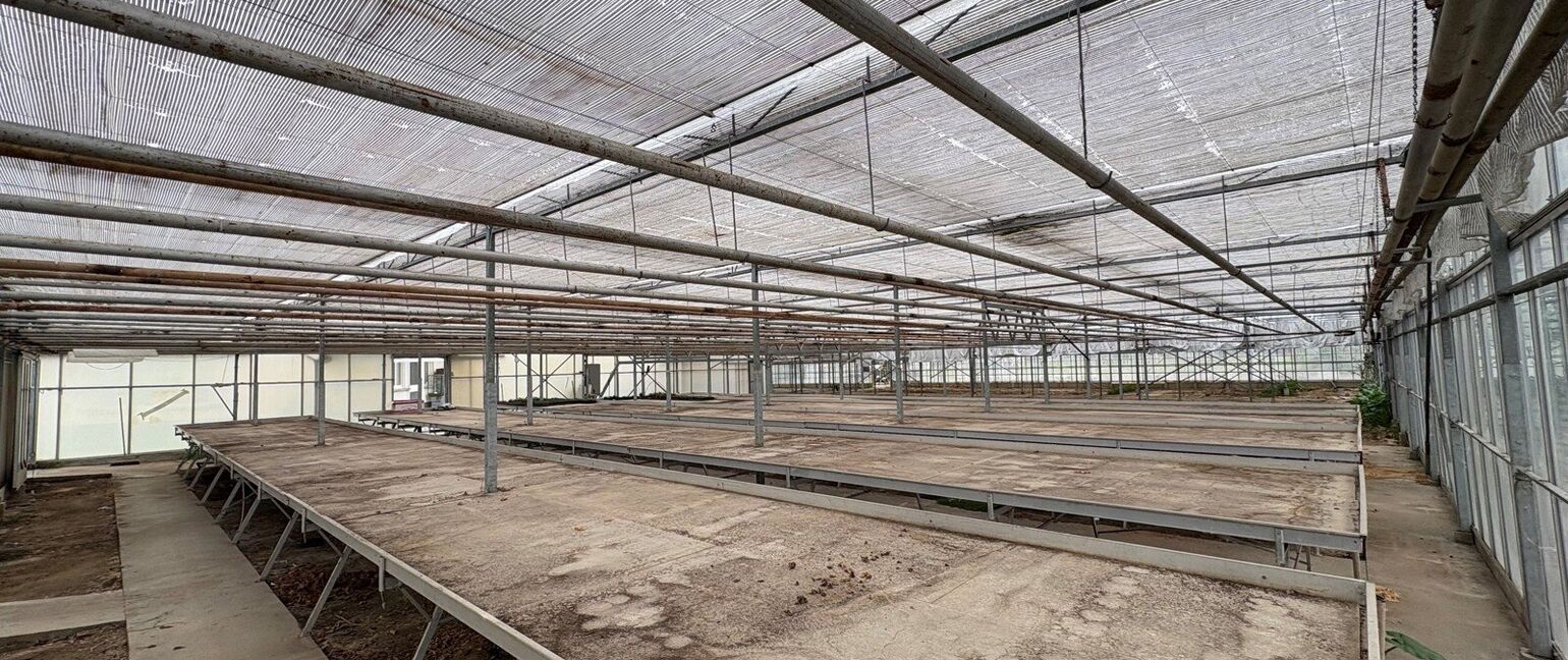 Gebouw voor gemengd gebruik te koop in Halen