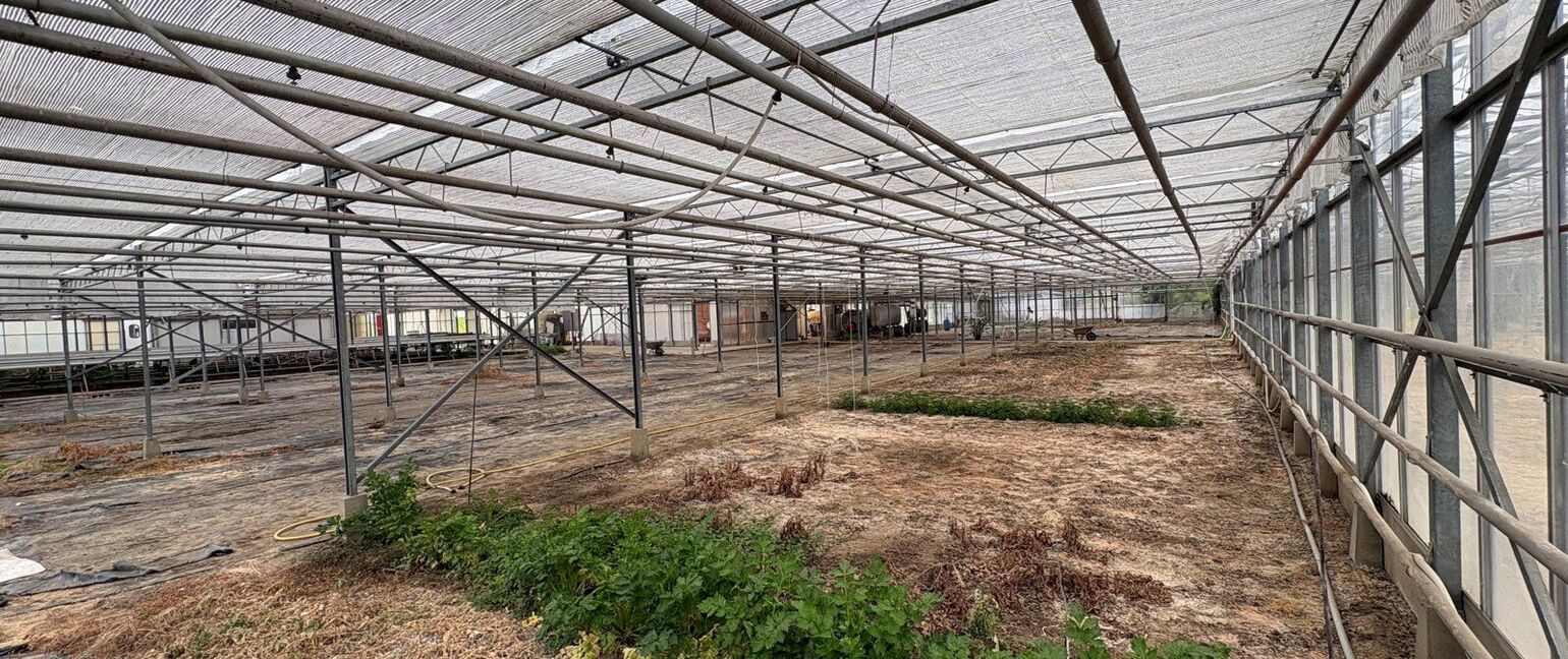 Gebouw voor gemengd gebruik te koop in Halen