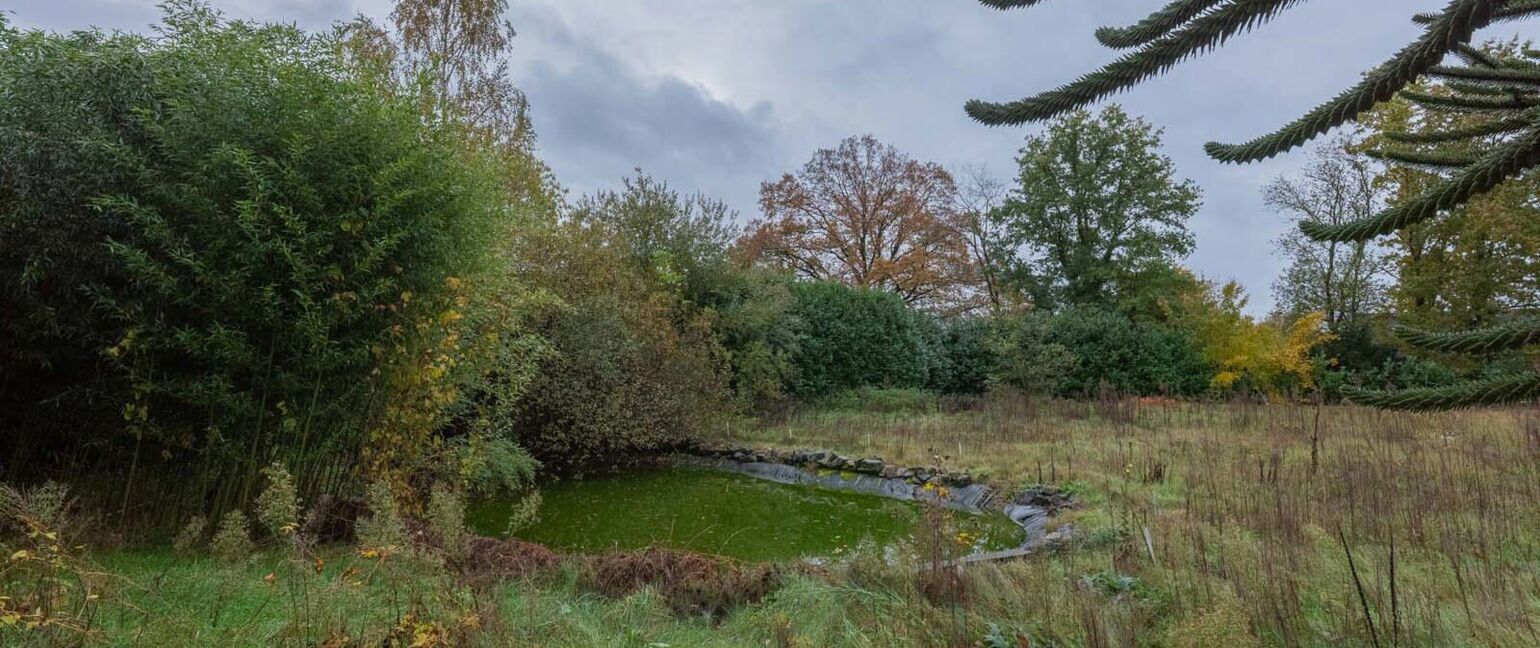 Gebouw voor gemengd gebruik te koop in Maaseik