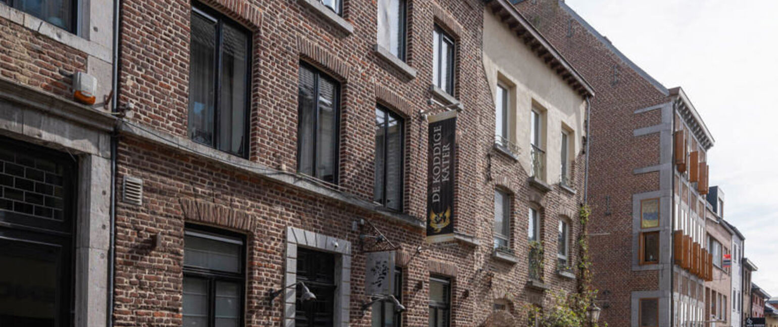 Gebouw voor gemengd gebruik te koop in Maaseik