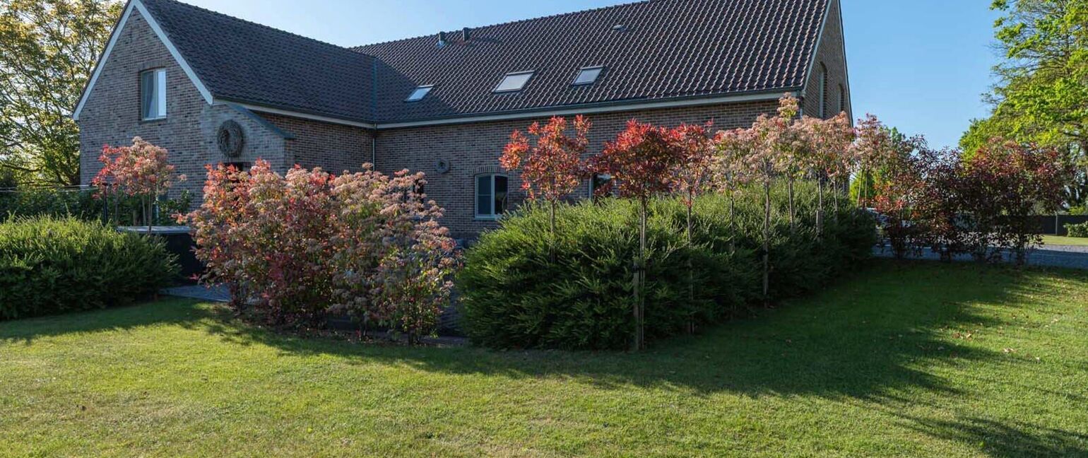 Gebouw voor gemengd gebruik te koop in Maaseik