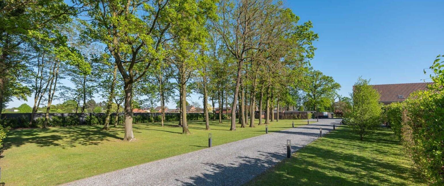 Gebouw voor gemengd gebruik te koop in Maaseik