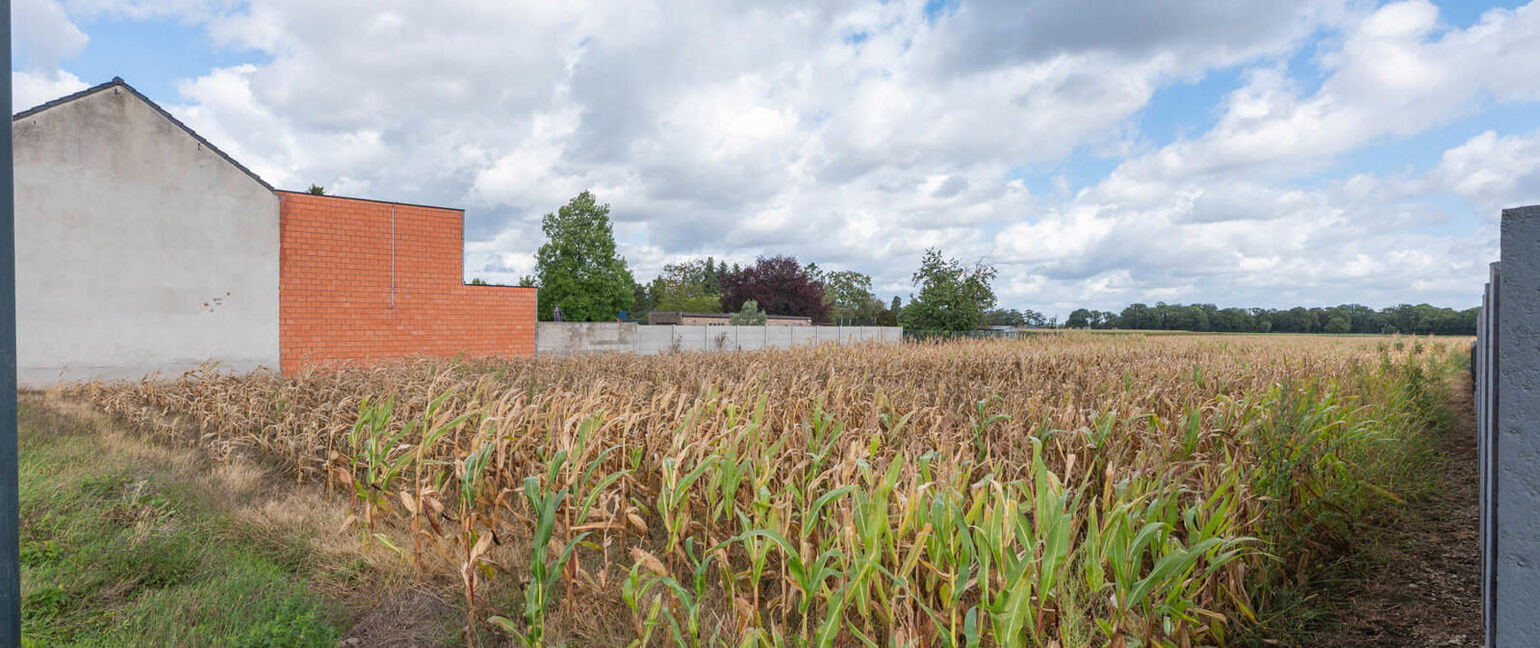 Grond te koop in Maasmechelen