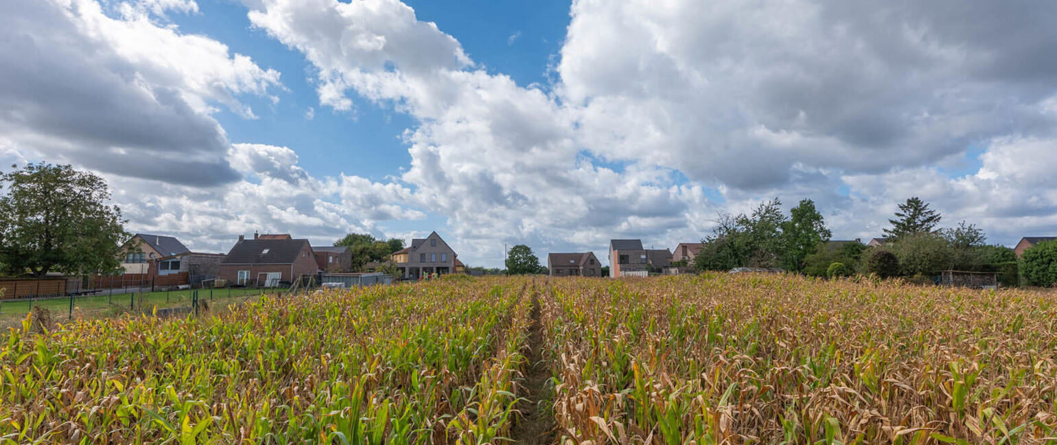 Grond te koop in Maasmechelen