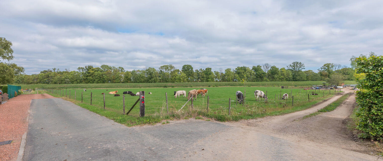 Grond te koop in Maasmechelen