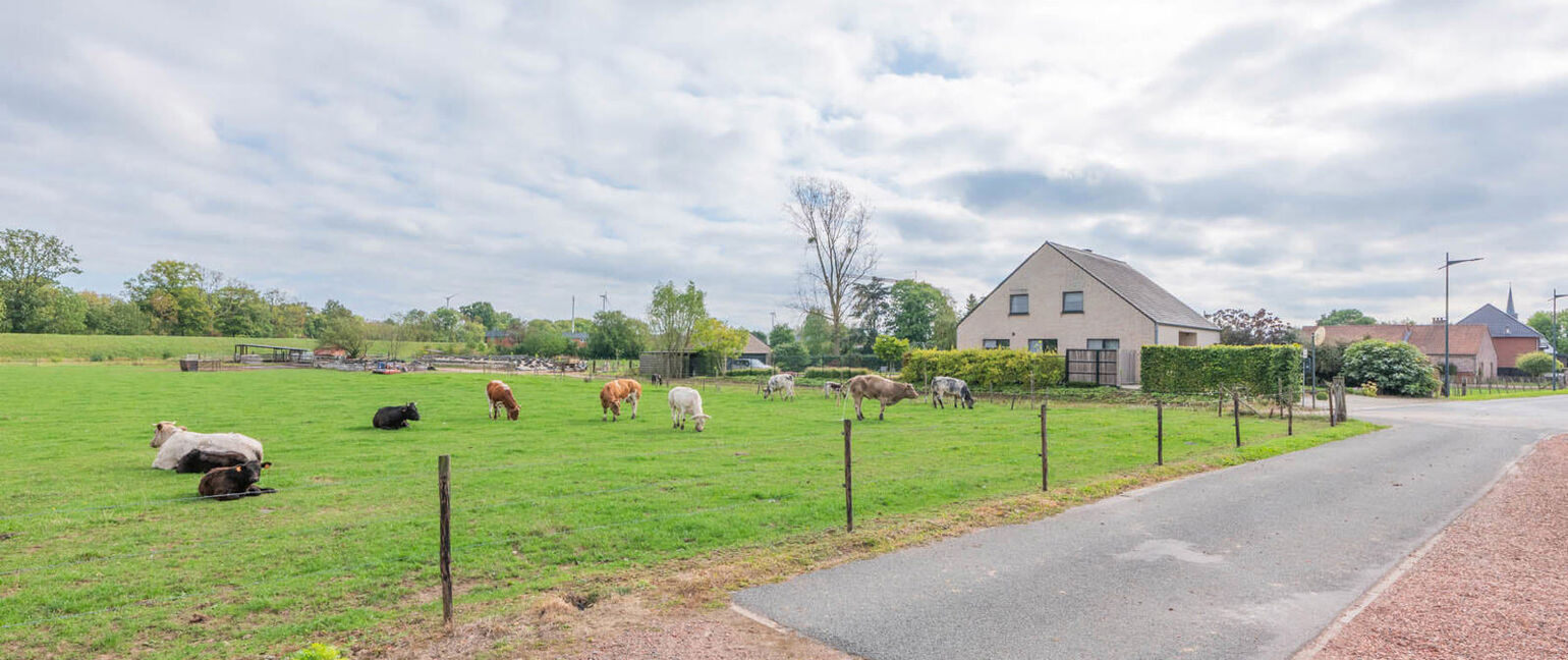 Grond te koop in Maasmechelen