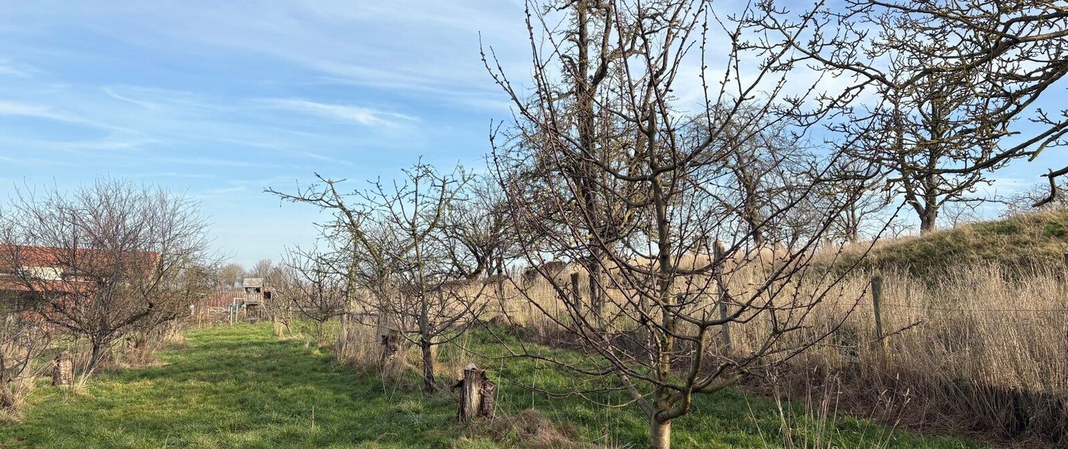 Hoeve te koop in Heers