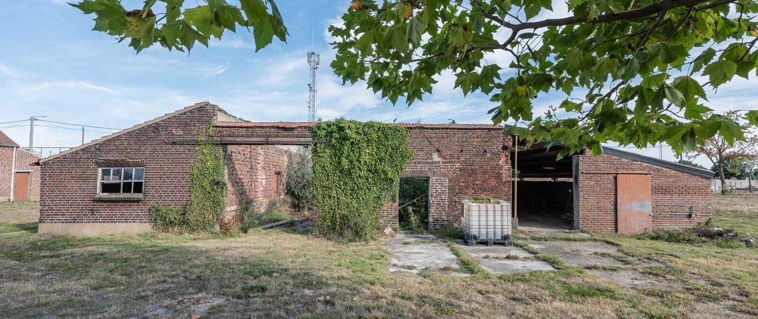 Hoeve te koop in Kinrooi