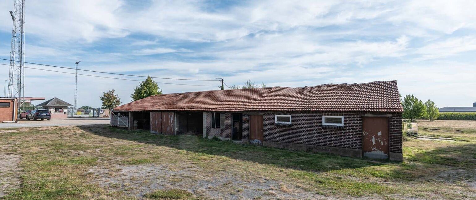 Hoeve te koop in Kinrooi