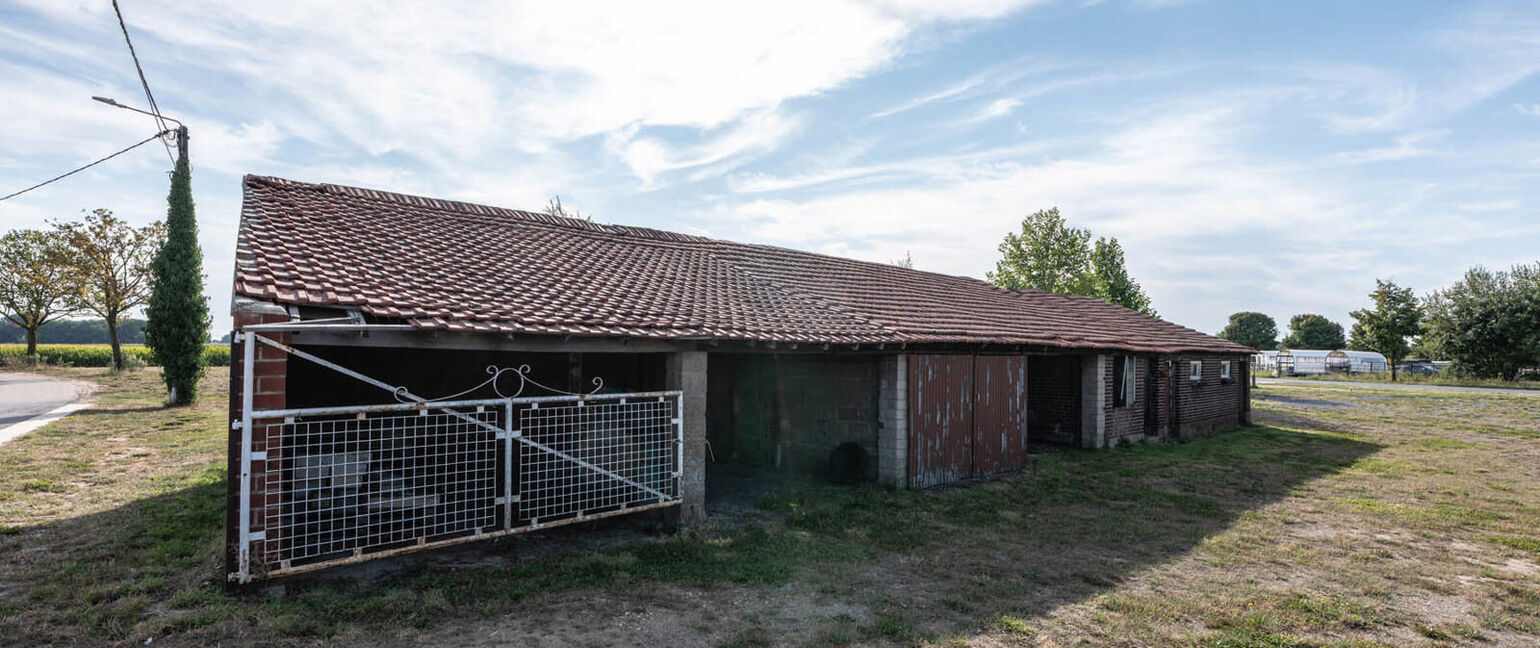 Hoeve te koop in Kinrooi