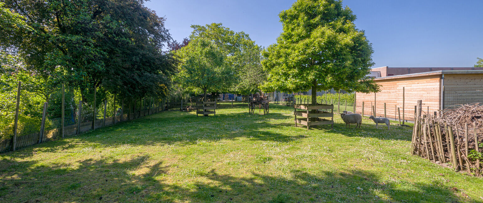 Hoeve te koop in Voeren