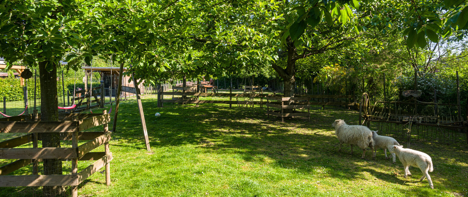 Hoeve te koop in Voeren