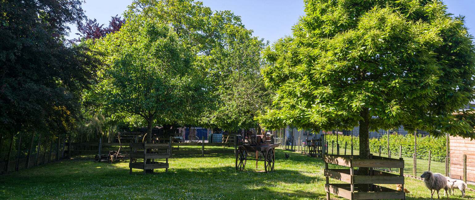 Hoeve te koop in Voeren