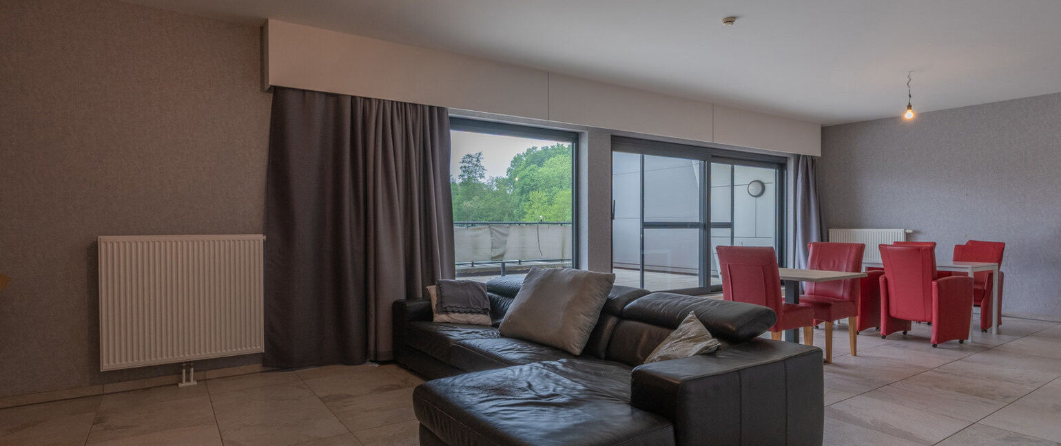 Horeca te koop in Maaseik