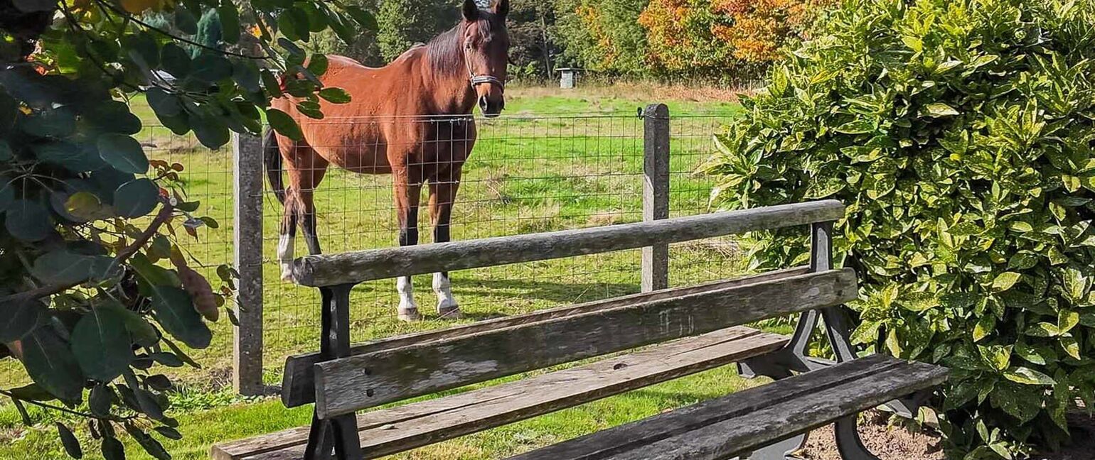 Huis te koop in Dilsen-Stokkem