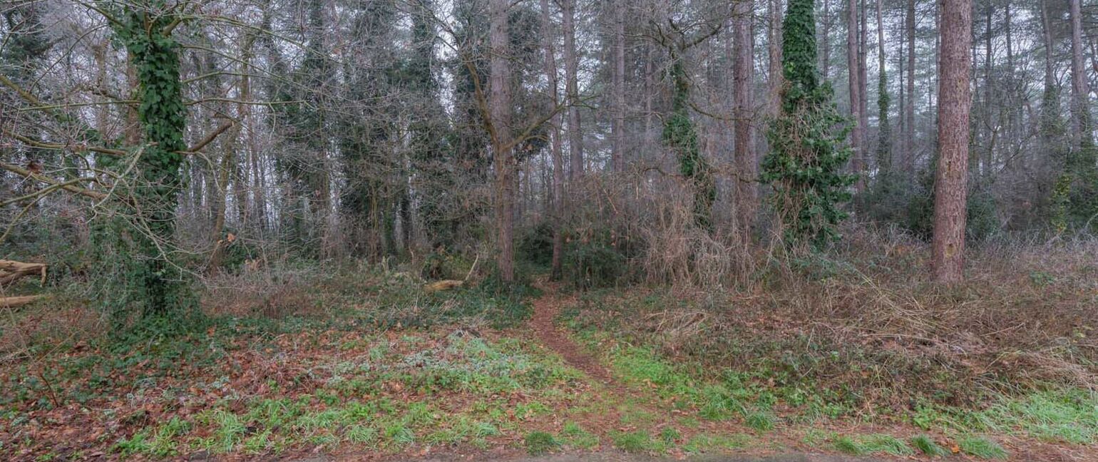 Huis te koop in Dilsen-Stokkem