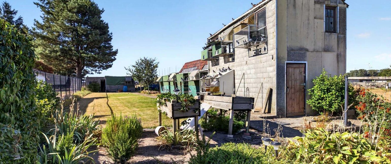 Huis te koop in Dilsen-Stokkem